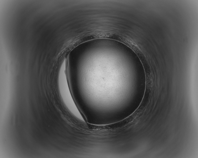 X0000086320742200704202021