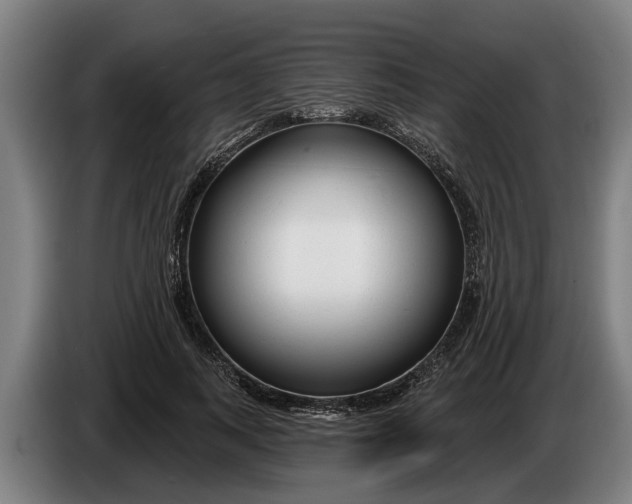 X0000086320743200704202021