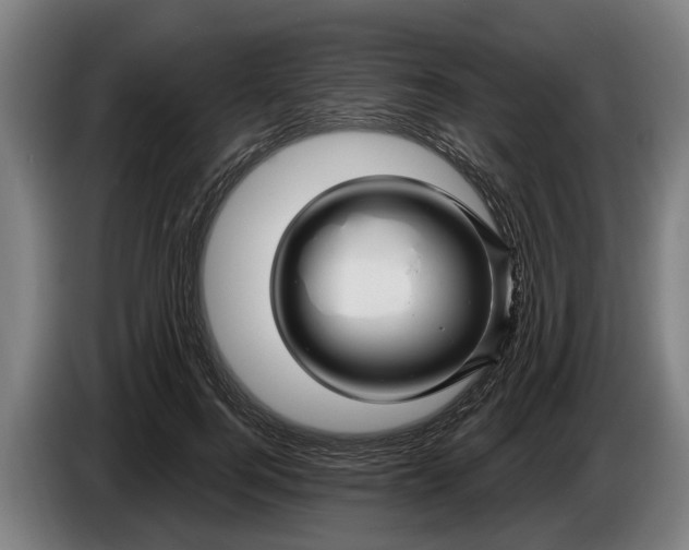 X0000086320744200704202021