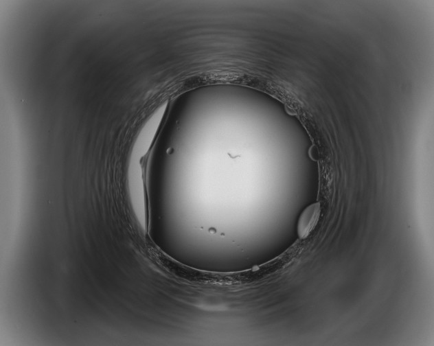 X0000086320745200704202021