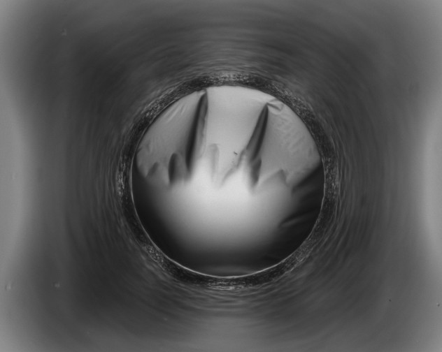 X0000086320746200704202021