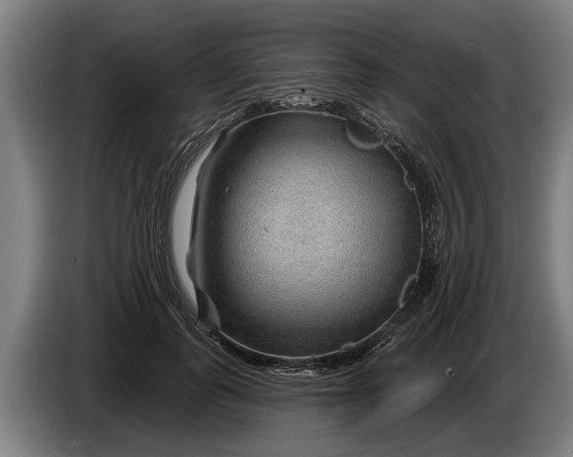 X0000086320747200704202021