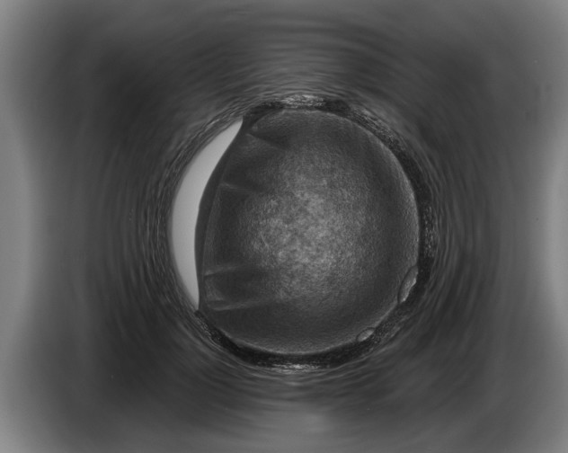 X0000086320748200704202021