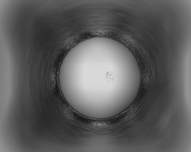 X0000086320749200704202021