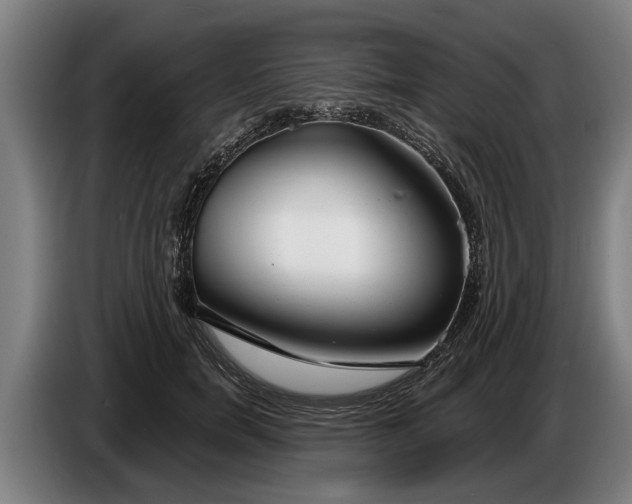 X0000086320750200704202021