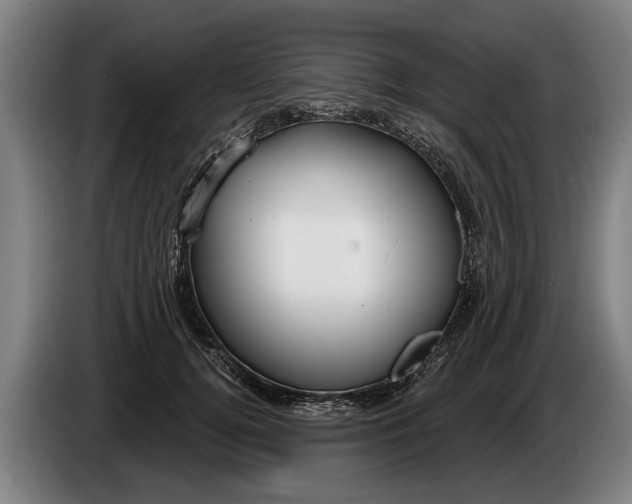 X0000086320752200704202021