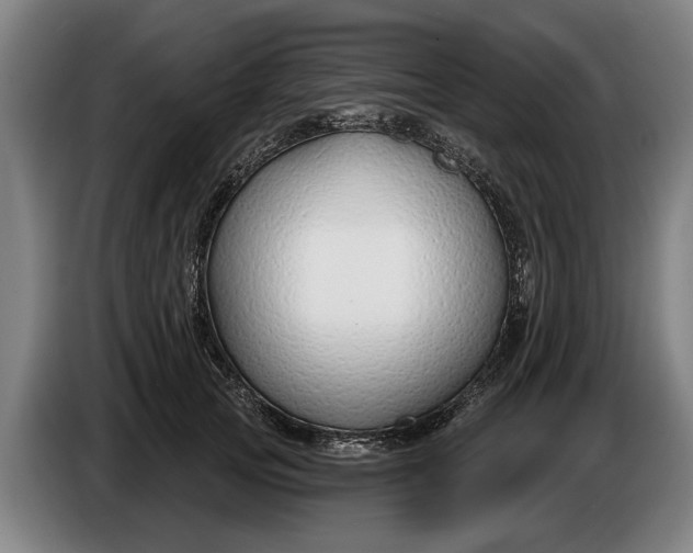 X0000086320753200704202021