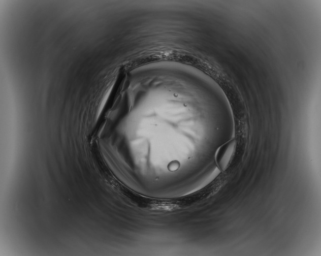 X0000086320754200704202022