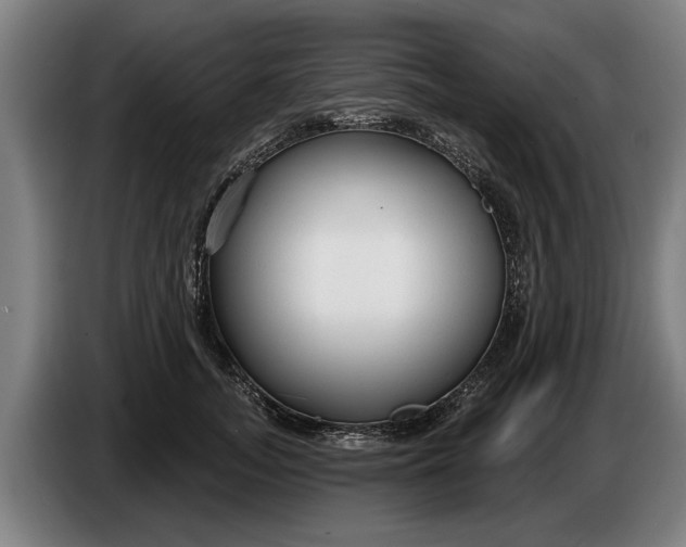 X0000086320755200704202022