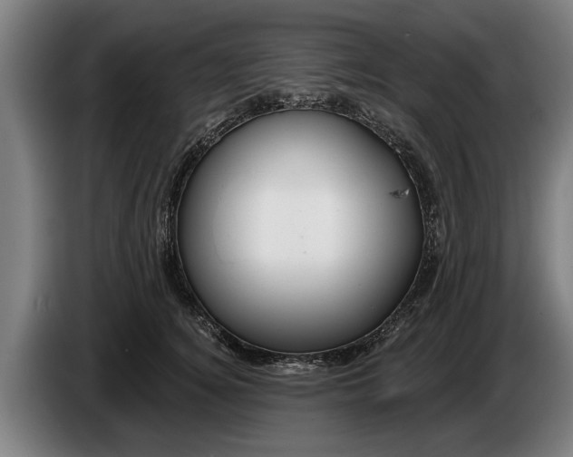 X0000086320756200704202022