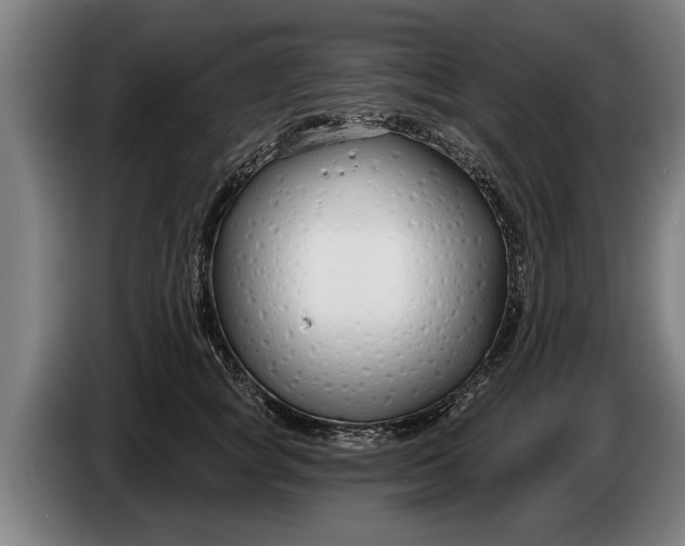 X0000086320757200704202022