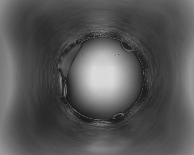 X0000086320758200704202022