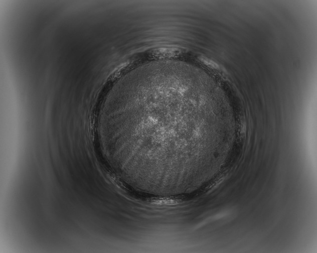 X0000086320759200704202022