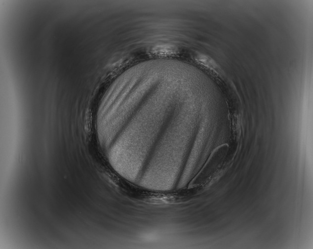 X0000086320760200704202022