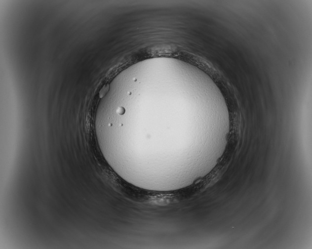 X0000086320761200704202022