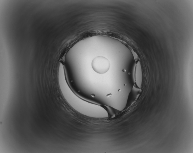 X0000086320762200704202022