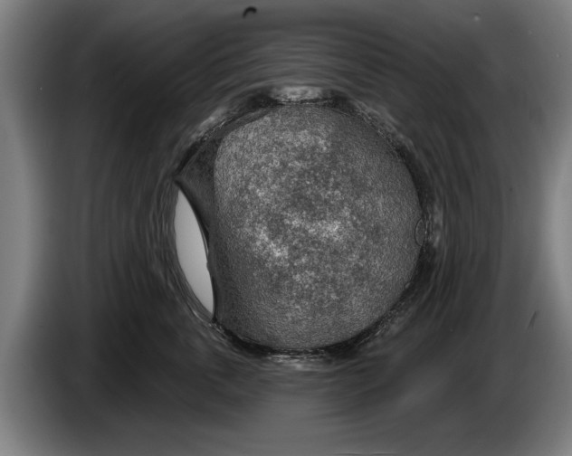 X0000086320763200704202022