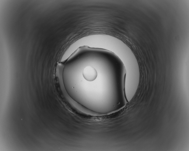 X0000086320764200704202022