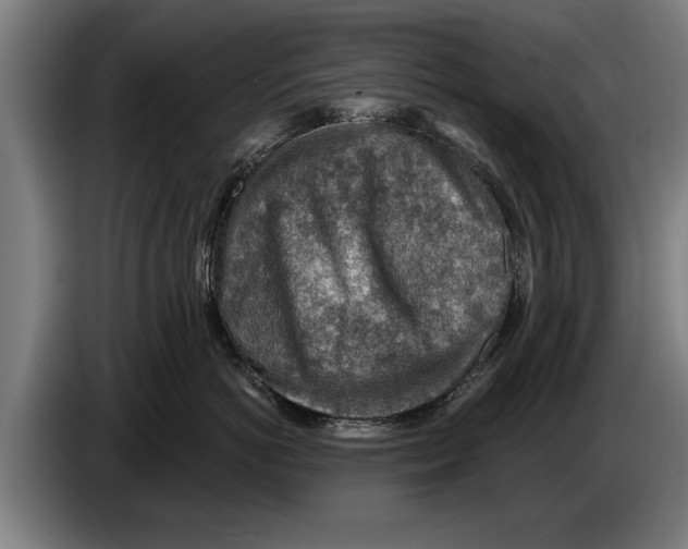 X0000086320766200704202022