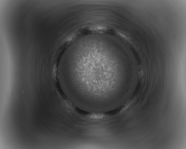 X0000086320767200704202022