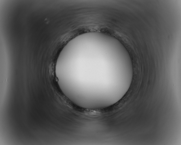 X0000086320768200704202022