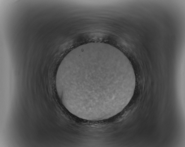 X0000086320769200704202021