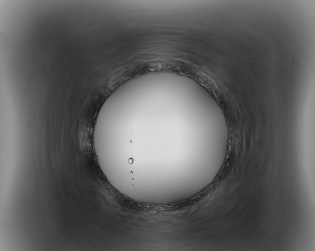 X0000086320770200704202021