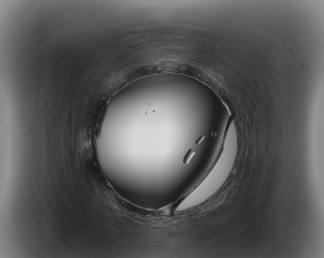 X0000086320771200704202021