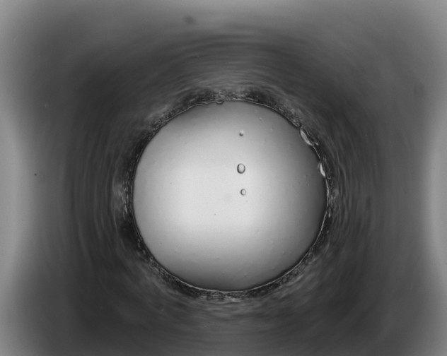 X0000086320772200704202021