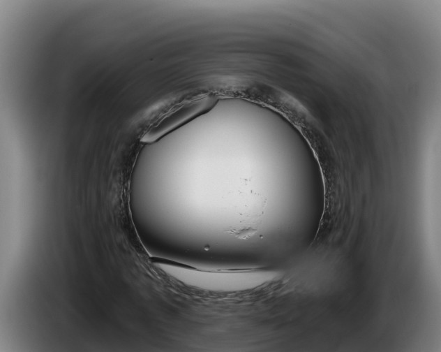 X0000086320773200704202021