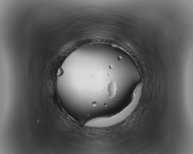 X0000086320774200704202021