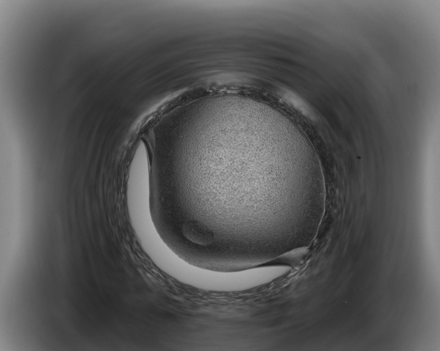 X0000086320775200704202021