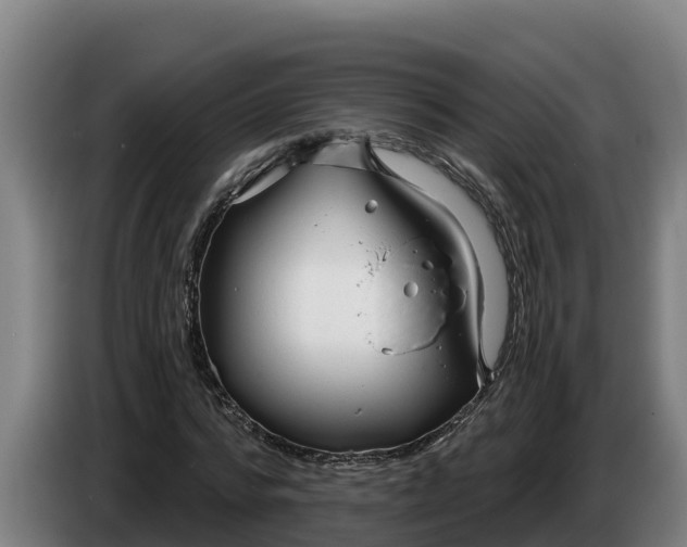 X0000086320776200704202021