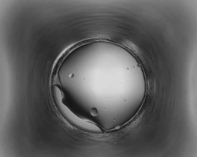 X0000086320780200704202021