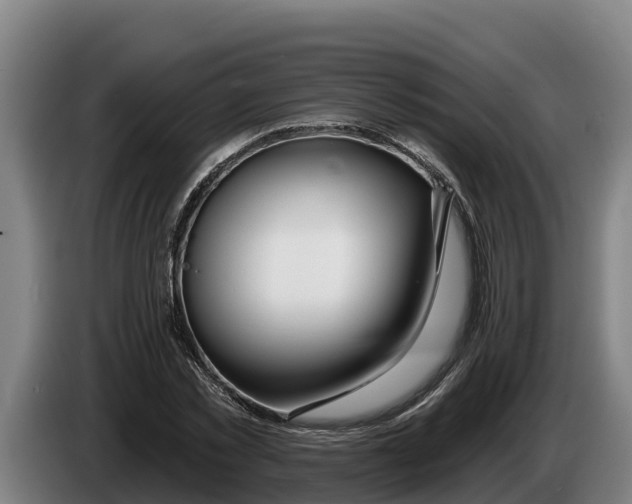 X0000086320781200704202021