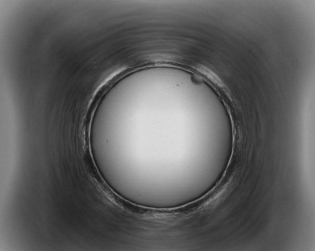 X0000086320782200704202021