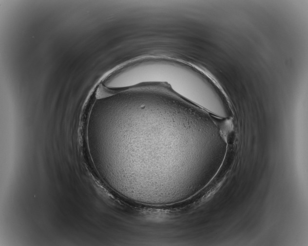 X0000086320783200704202021