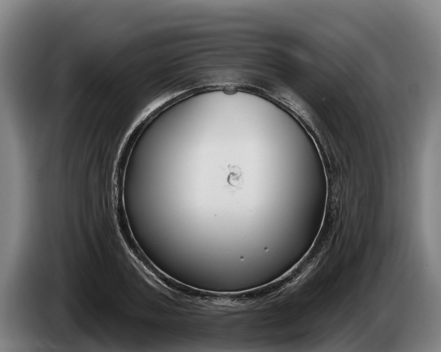 X0000086320787200704202021