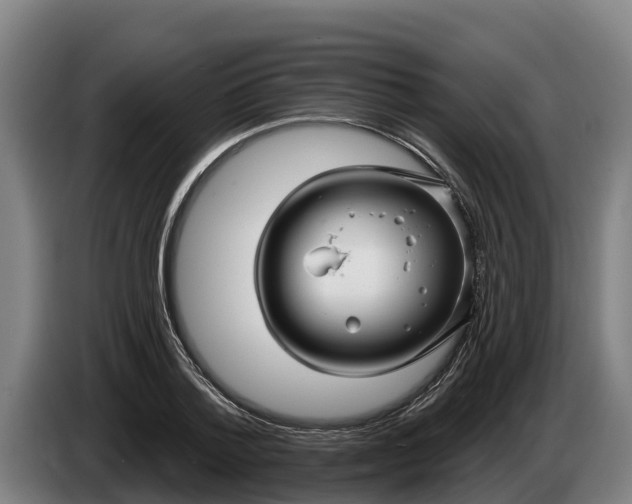 X0000086320788200704202021