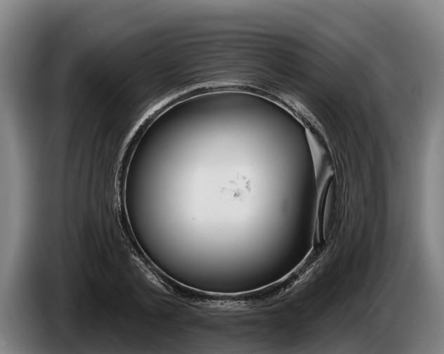 X0000086320789200704202021