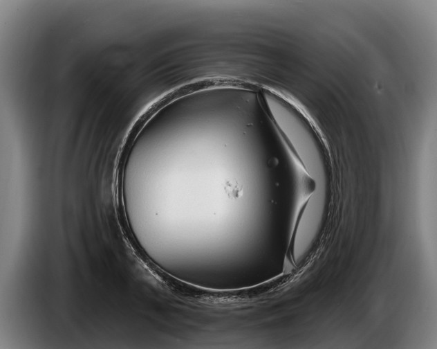 X0000086320791200704202021