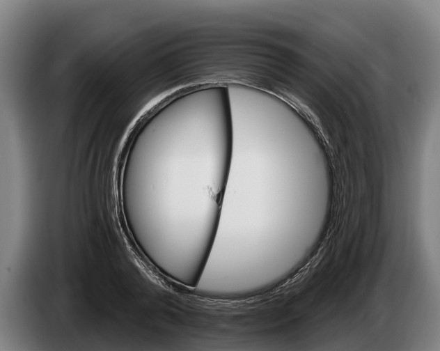 X0000086320792200704202021