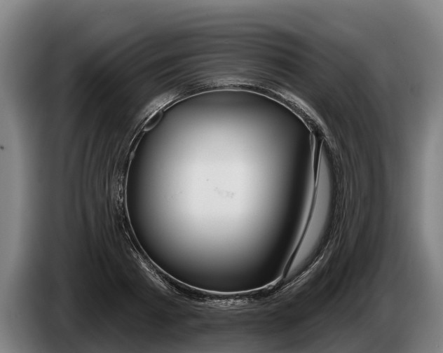 X0000086320793200704202021