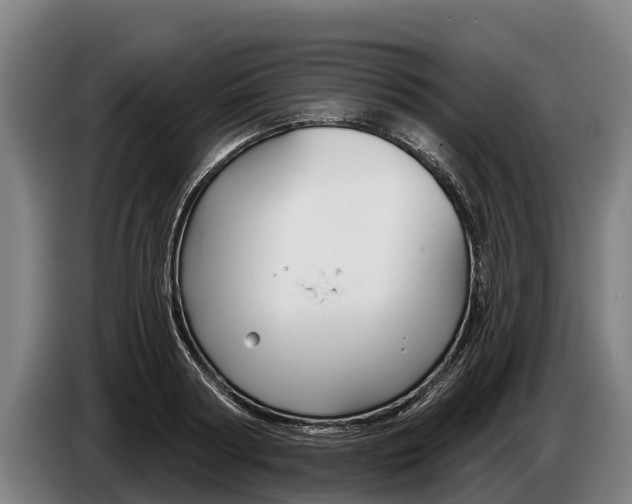 X0000086320794200704202021