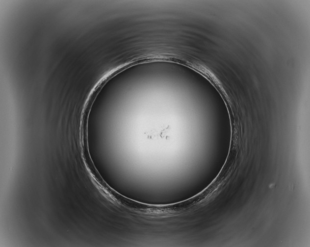 X0000086320795200704202021