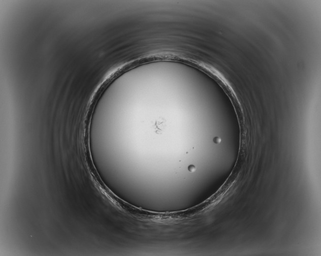 X0000086320799200704202021