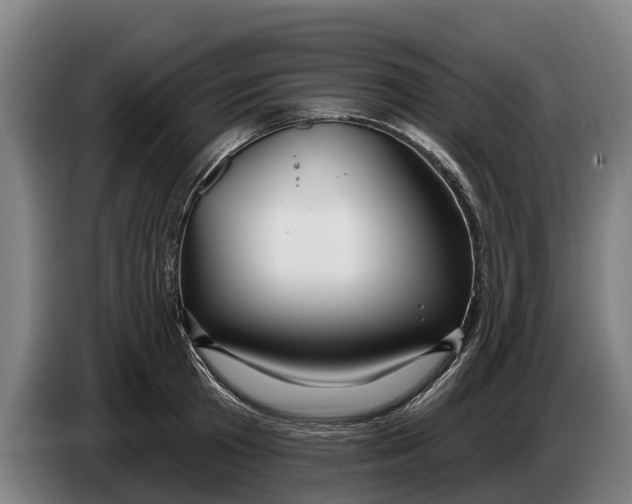 X0000086320801200704202021