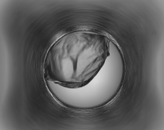 X0000086320802200704202021