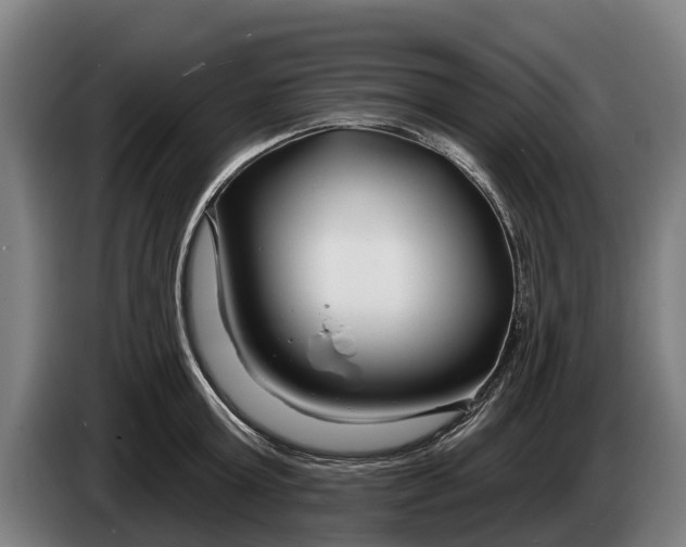 X0000086320803200704202021