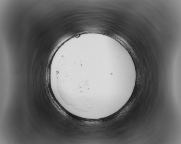 X0000086320804200704202021